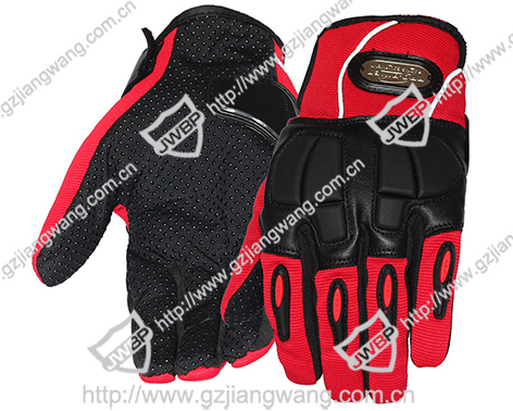 Motorcycle Glove